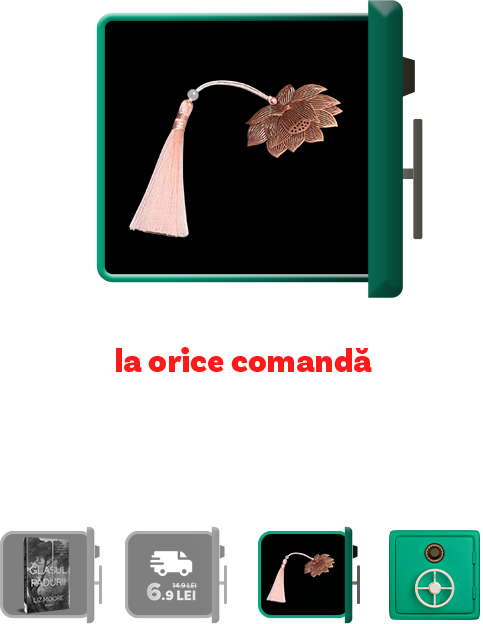 Cadou ziua 3