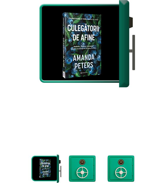 Cadou ziua 5