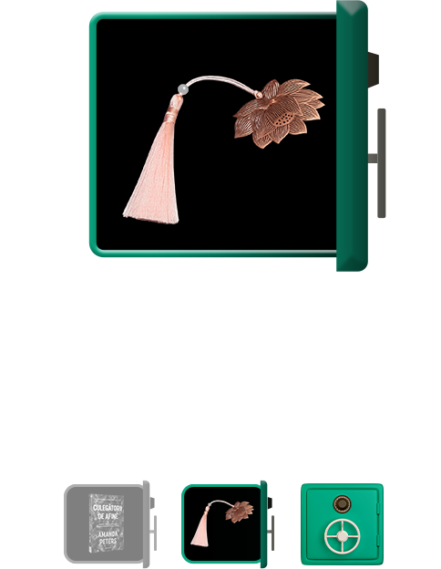 Cadou ziua 6