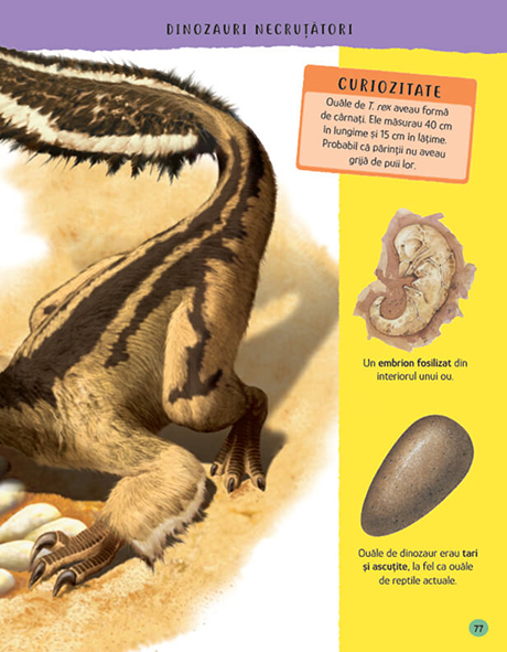 Enciclopedia lucrurilor uimitoare