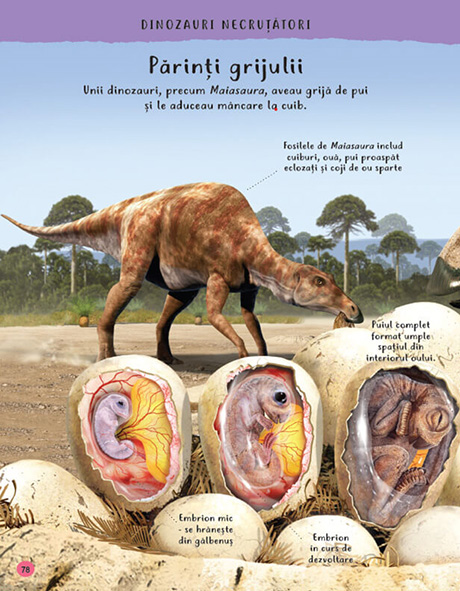 Enciclopedia lucrurilor uimitoare