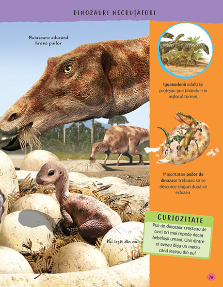 Enciclopedia lucrurilor uimitoare