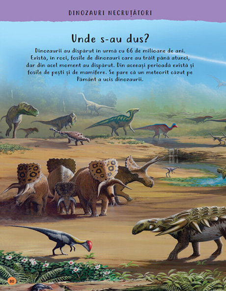 Enciclopedia lucrurilor uimitoare