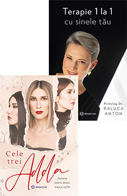 Cele trei ADDA + Terapie 1 la 1 cu sinele tau