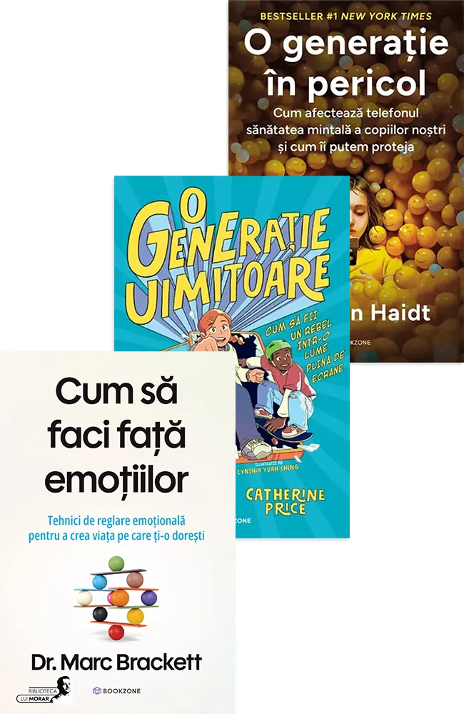 Pachet Intelegi criza, construiesti solutia