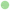 Bullet