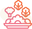 6 tipuri de post alimentar