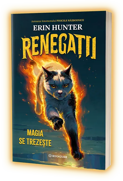 Book name