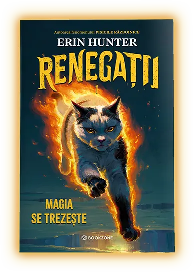 Book name