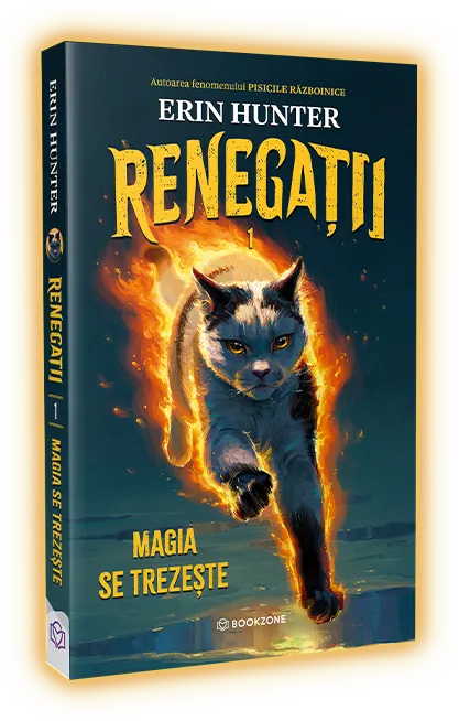 Book name