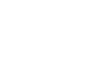 Element icon