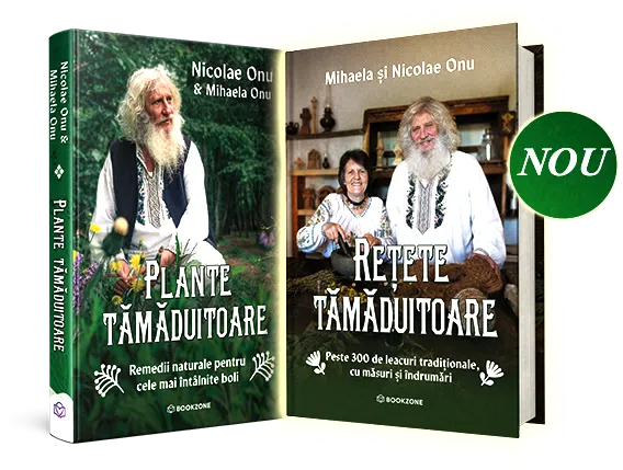 Book name