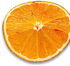 Felie portocală