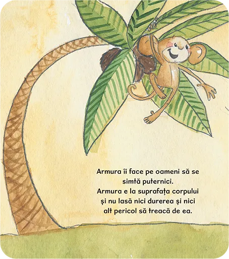 Furia e ca o armură
